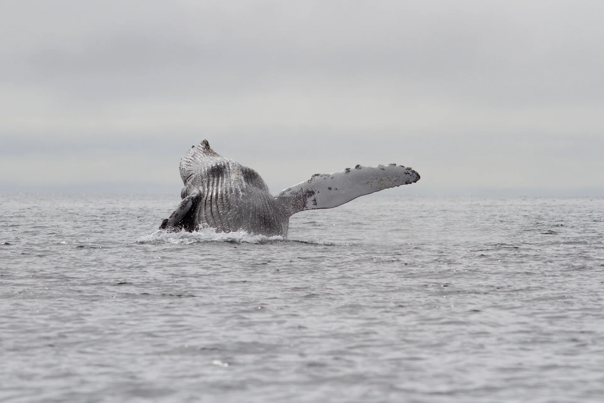 День 10.
Бухта Пенкигней и Сенявинские источники