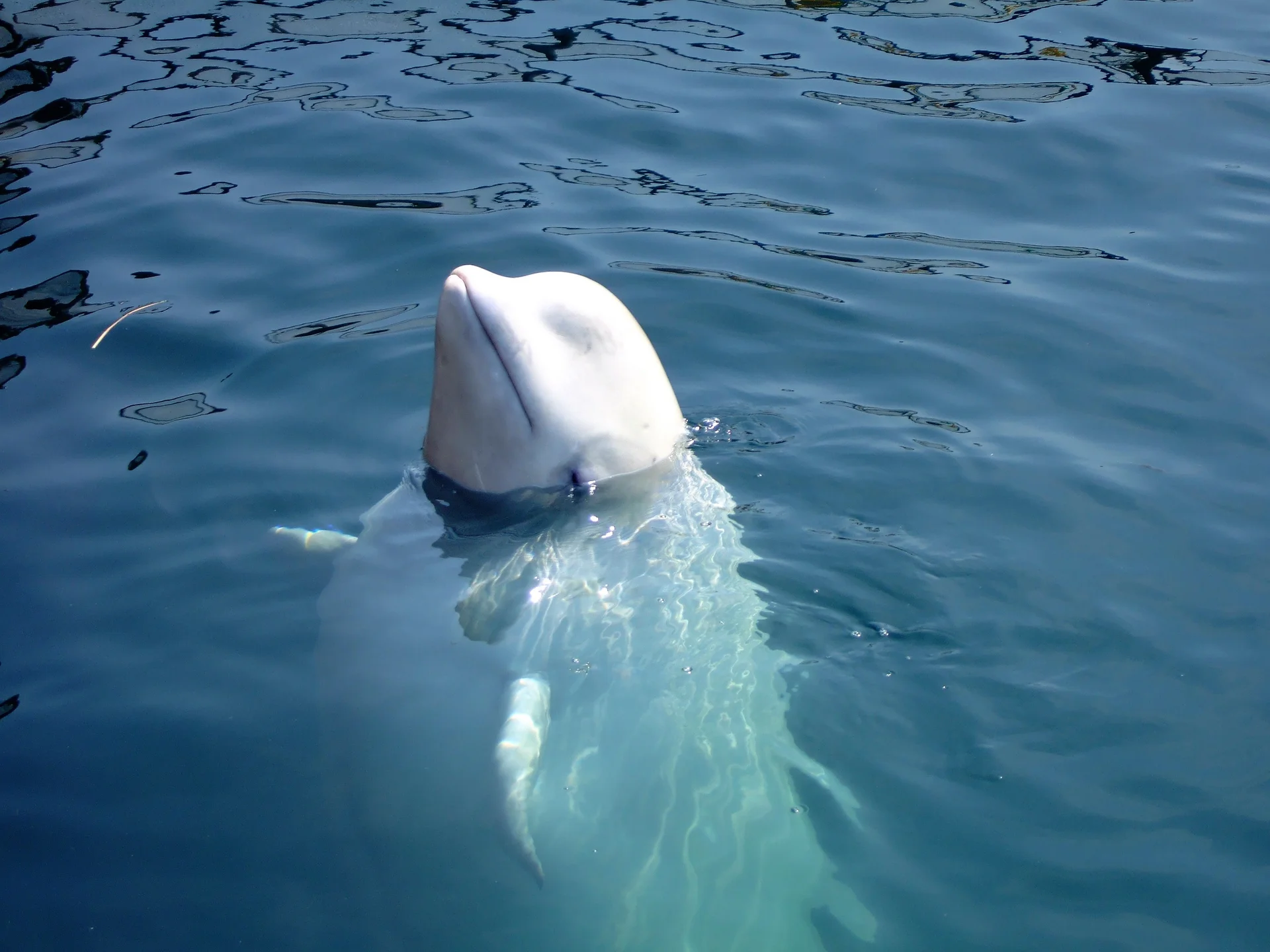 День 11.
Анадырь