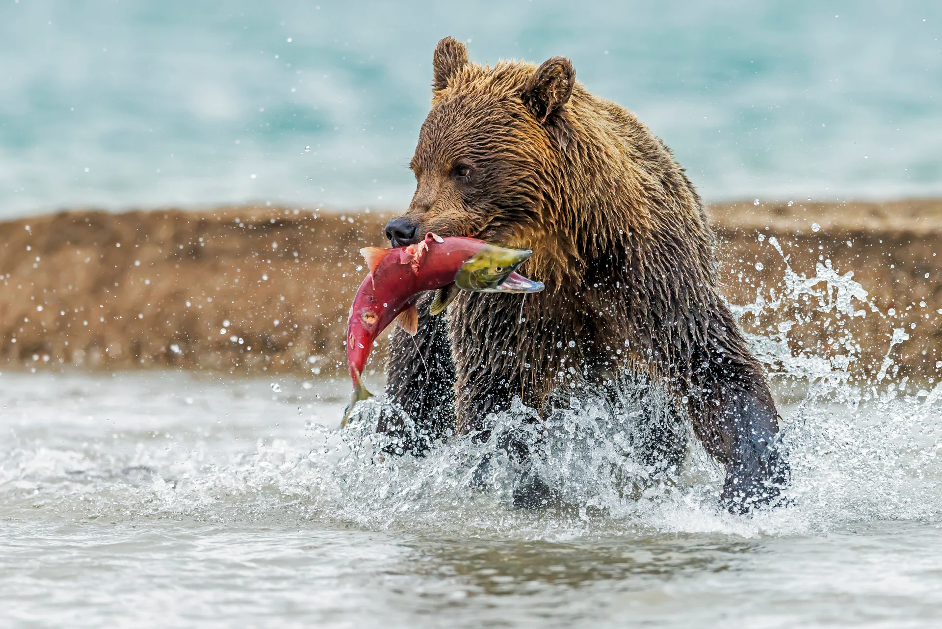 День 2.
Река Жупанова