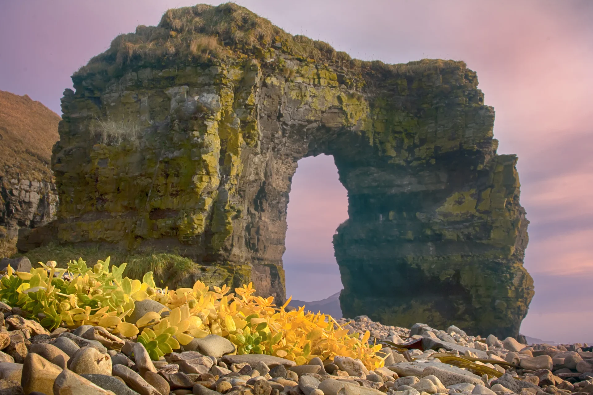 Дни 3-5.
Командорские острова — остров Беринга