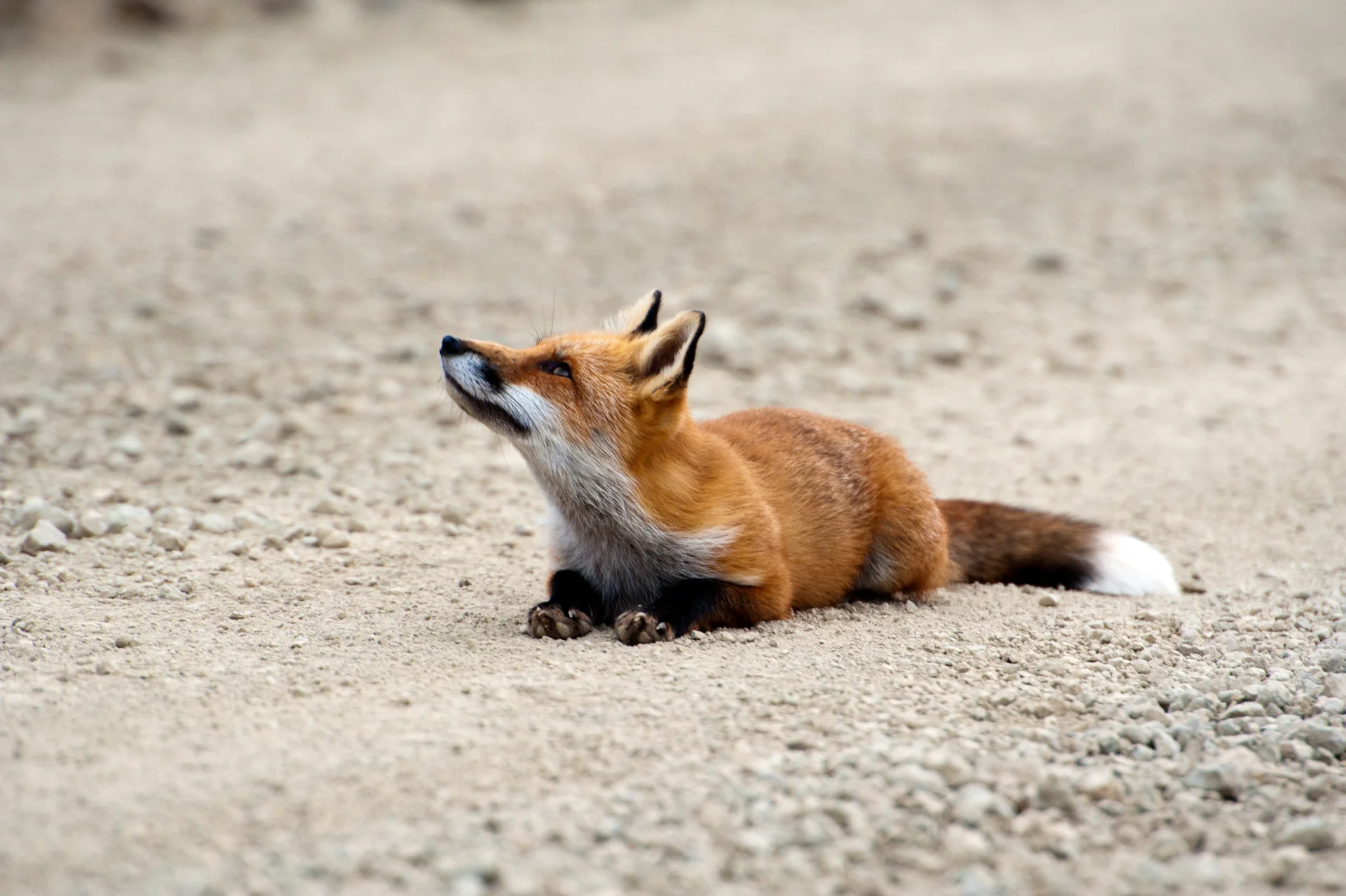 День 7.
бухта Южная Глубокая
и бухта Лаврова