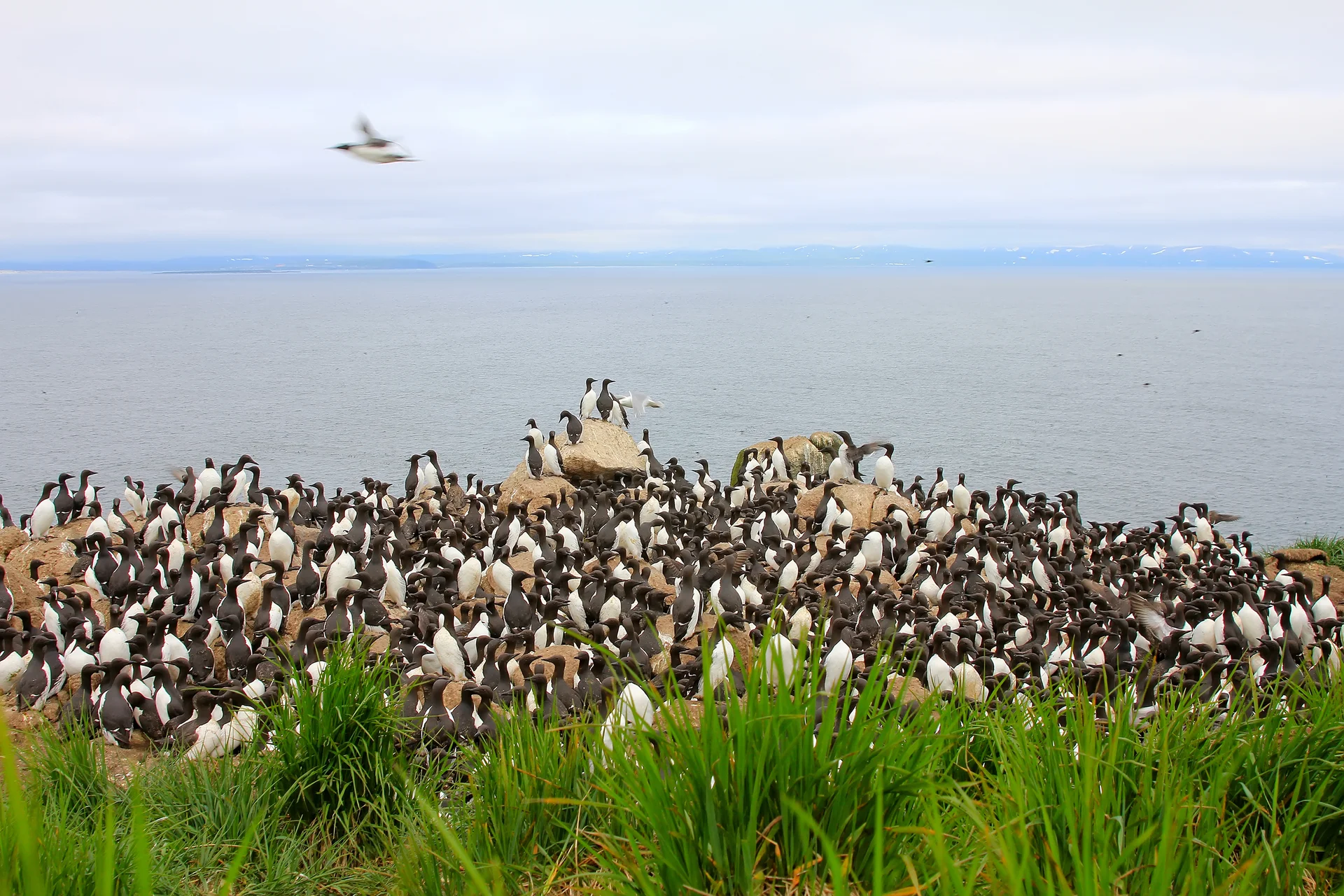 День 8.
Бухта Анастасии