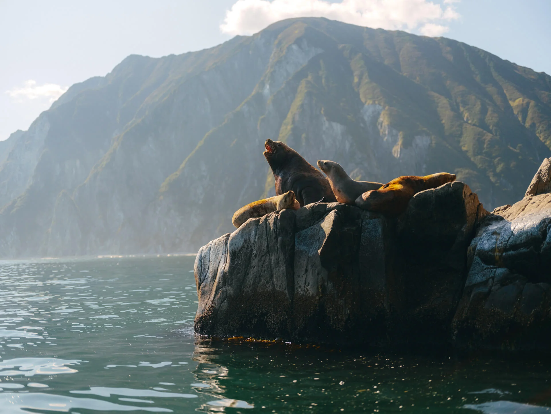 Остров Богослова,
Бухты Петра и Павла