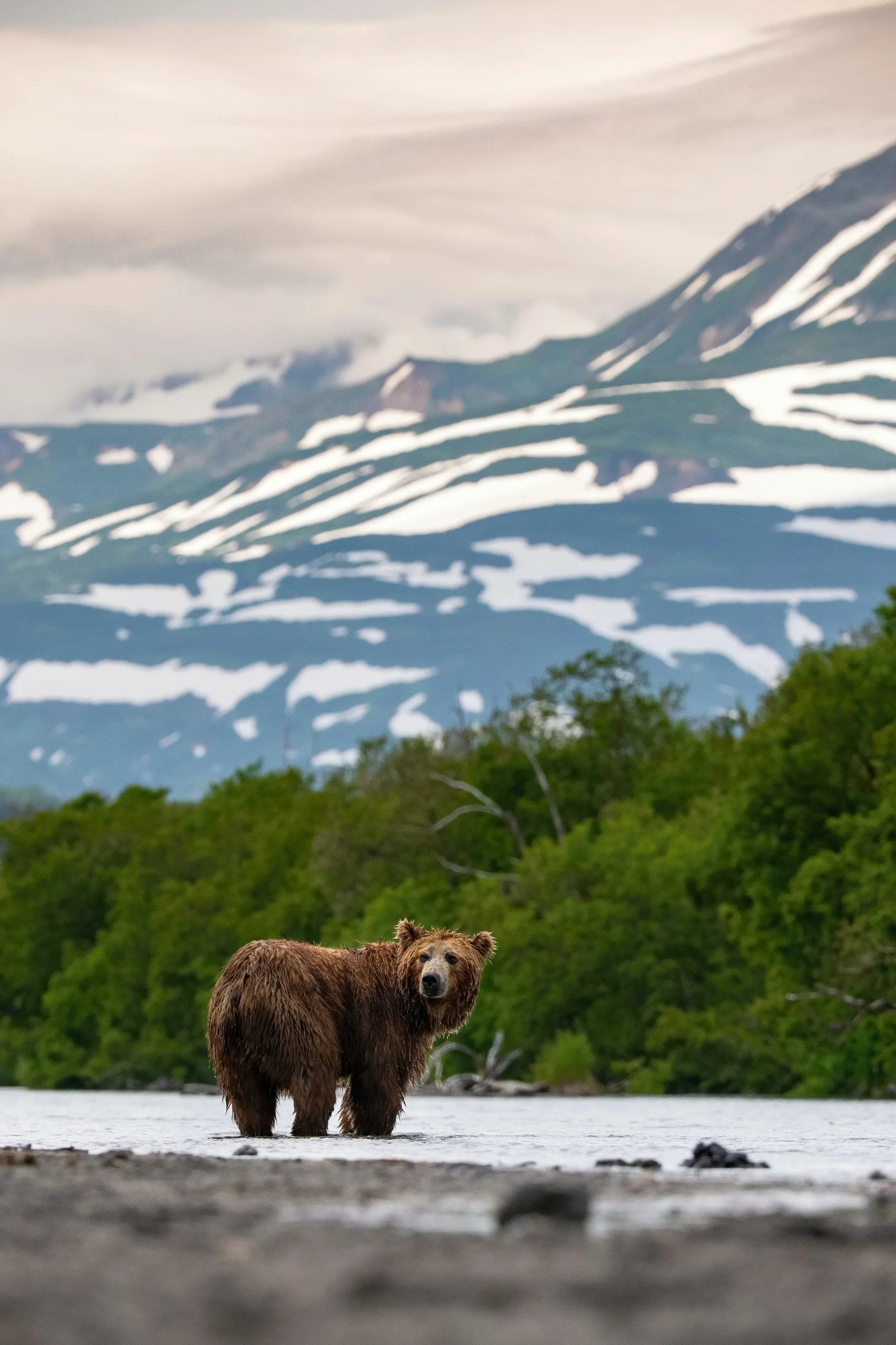 Река Жупанова