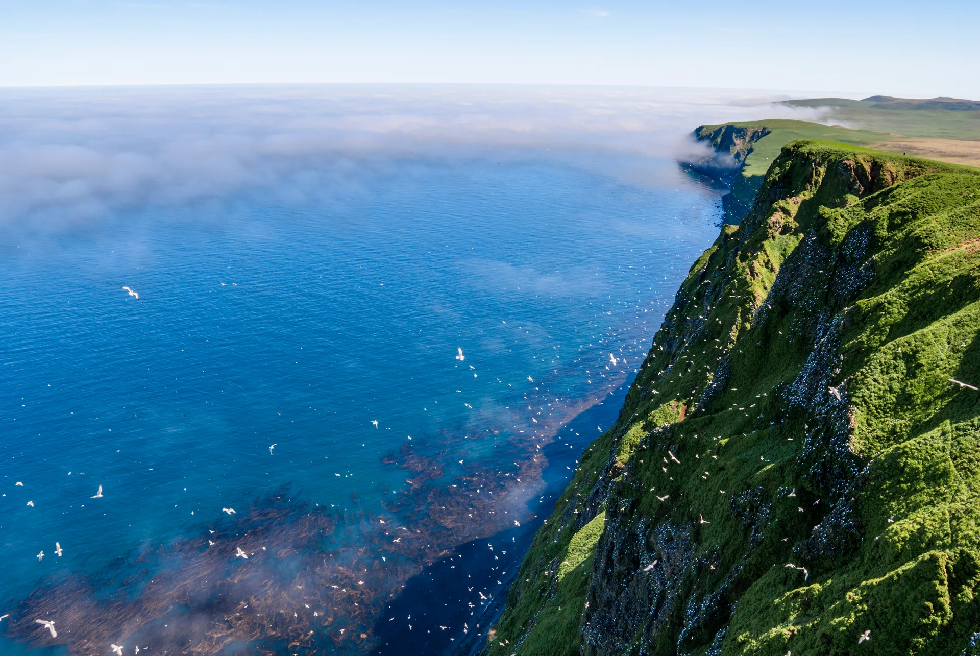 Командорский биосферный заповедник
